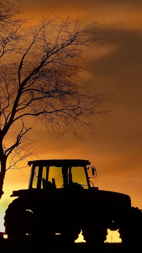 Perché entrare in Nero Vesuviano